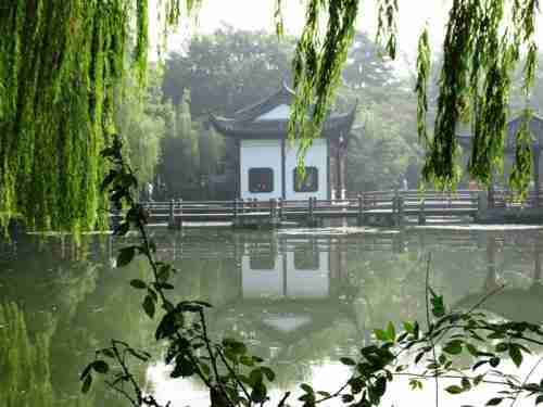 How to Avoid the Chinese Tea Ceremony Scam