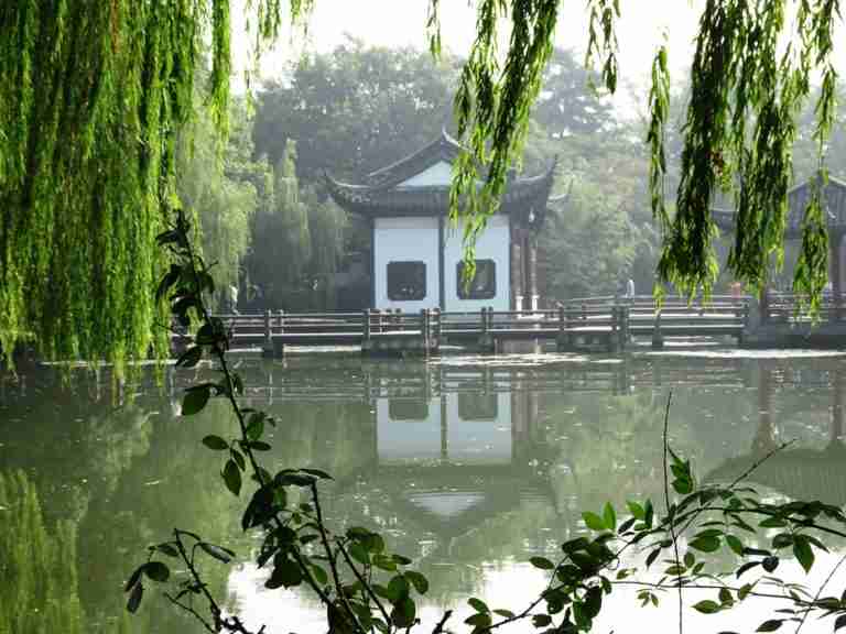 How to Avoid the Chinese Tea Ceremony Scam