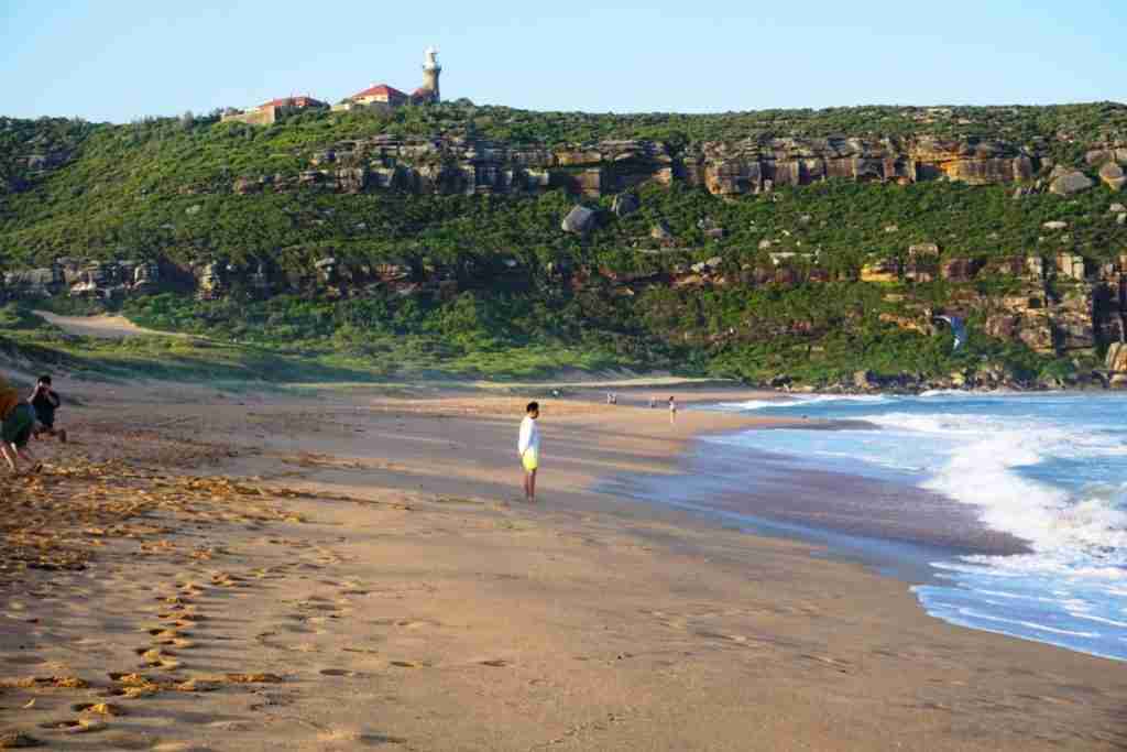 Palm Beach Sydney with golden sans and surf