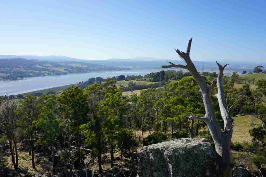 picturesque river views of the Tamar Valley Tasmania