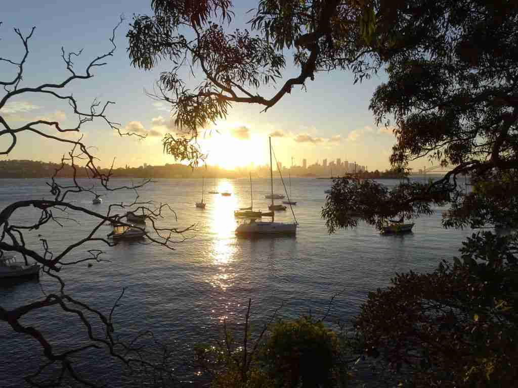 Sydney Sunset in Vaucluse 
