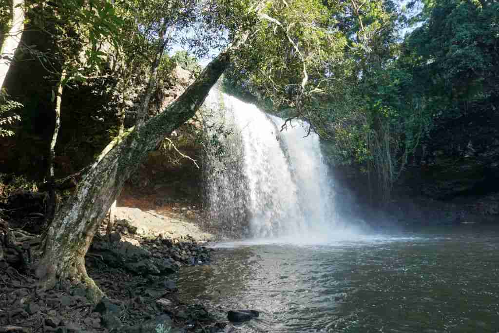 Killen Falls near Byron Bay in Australia