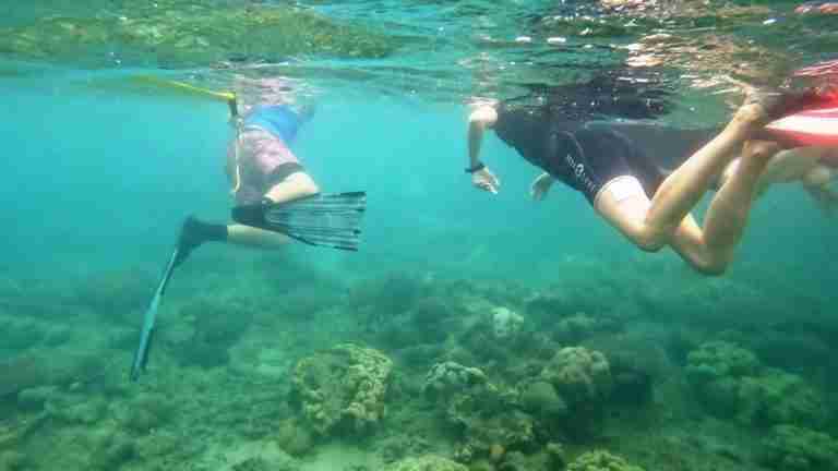 Snorkelling on the Great Barrier Reef is one of the best things to do in Cairns