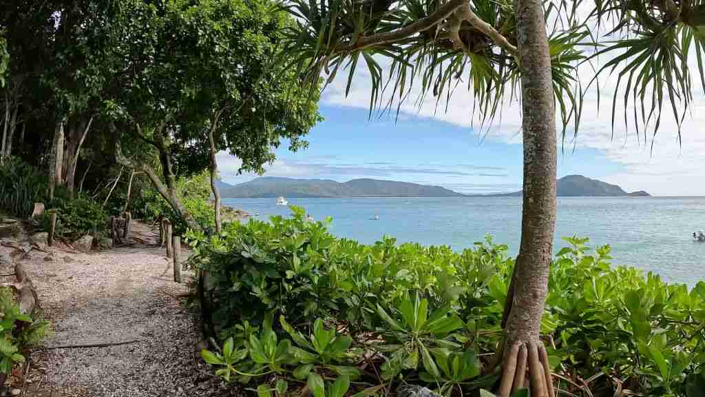 Fizroy island walking track