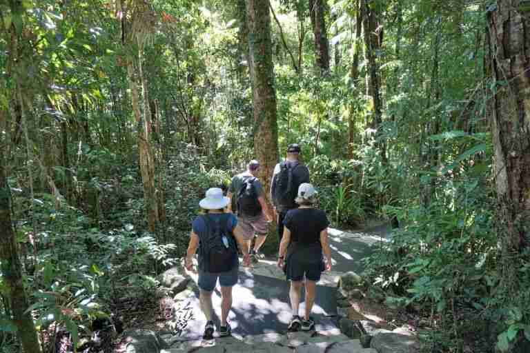 walkers in Mossman Gorge in the Lower Daintree Rainforest