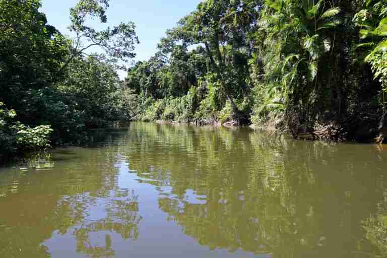 The Daintree River Cruise