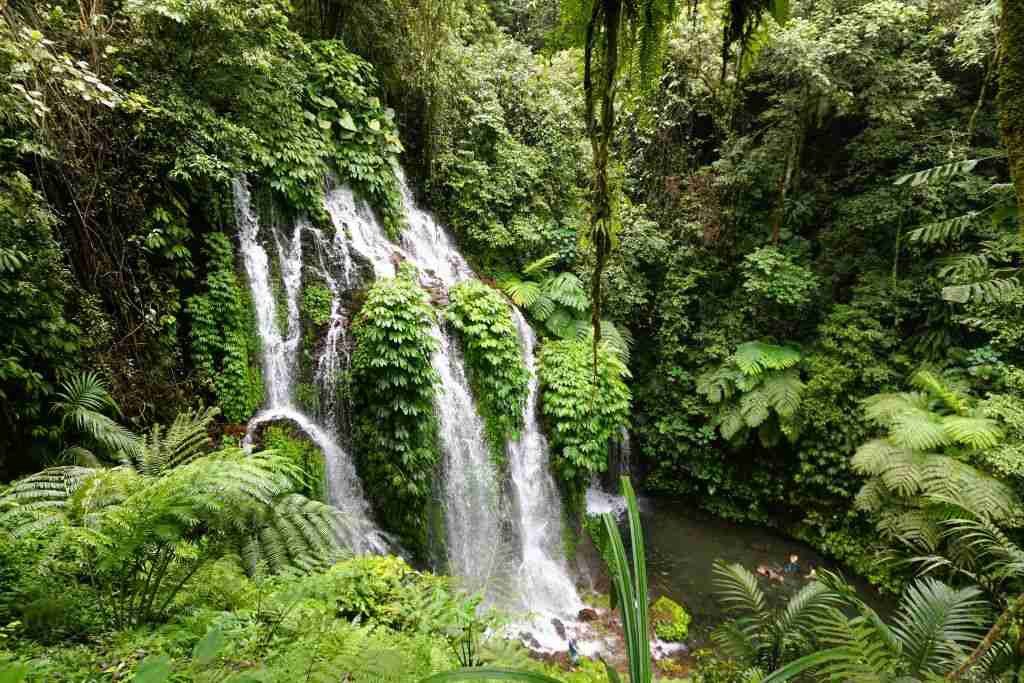 Banyumala Twin Falls in January in Bali