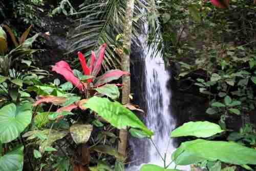 A Guide for Successful Solo Traveling to Bali