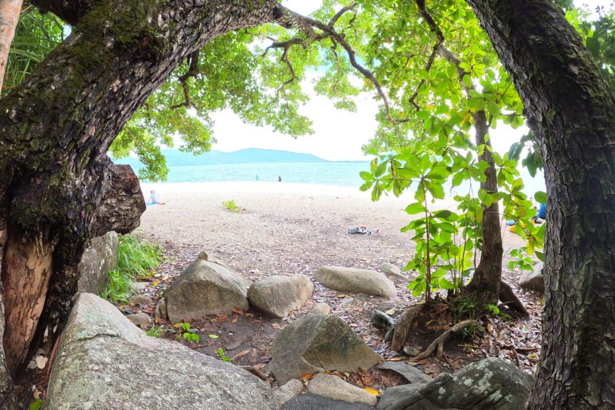 Gorgeous Nudey Beach through the trees