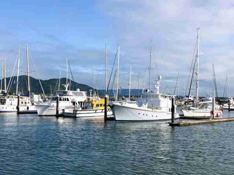 with 5 days in Cairns enjoy boats at the waterfront and wharf area