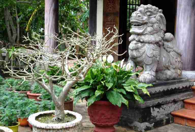 Is January a Good Time to Visit Vietnam?