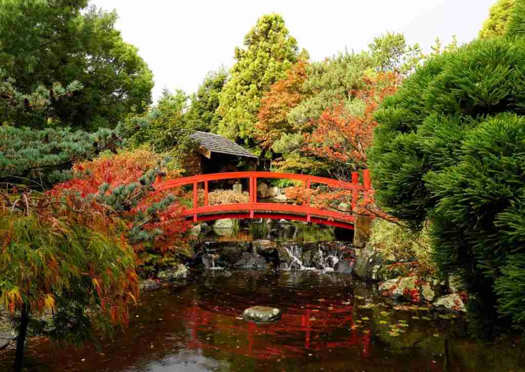 a red bridge over a pond in the Japanese Garden at the Hobart Botanical Gardens