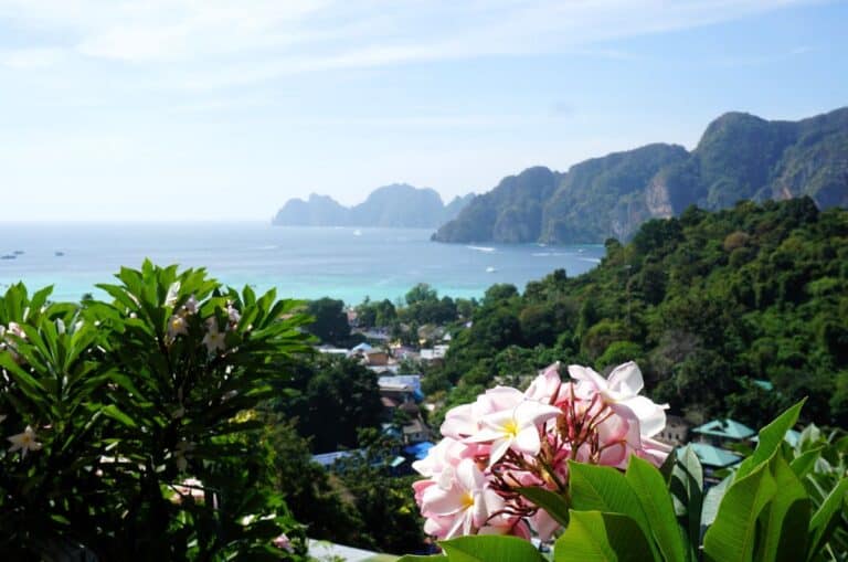 Phuket or Phi Phi island viewpoint with a pink flower