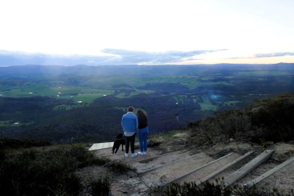 a couple with a dog admiring the view from Mount Blackheath Lookout in the Blue Mountains