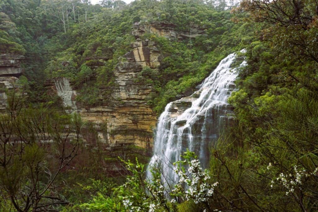 waterfall and sandstone cliffs at Wentworth Falls in the Blue Mountains National Park