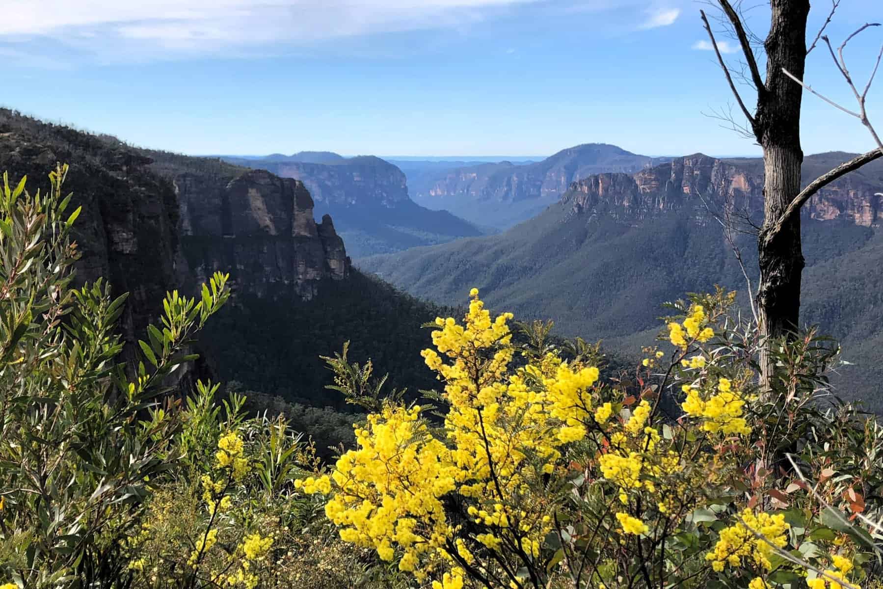 Govett's Leap Blackheath
