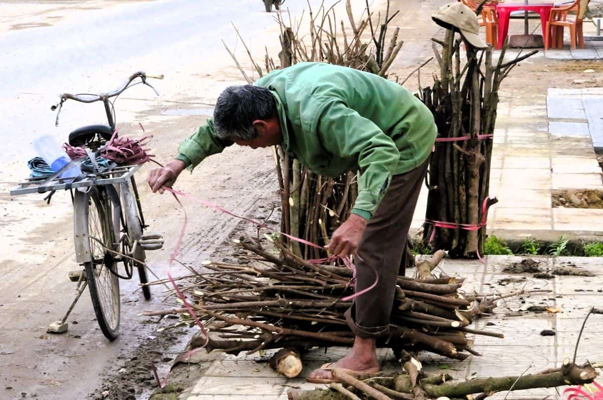 man with a bicycle tying firewood in Phong Nha Vietnam