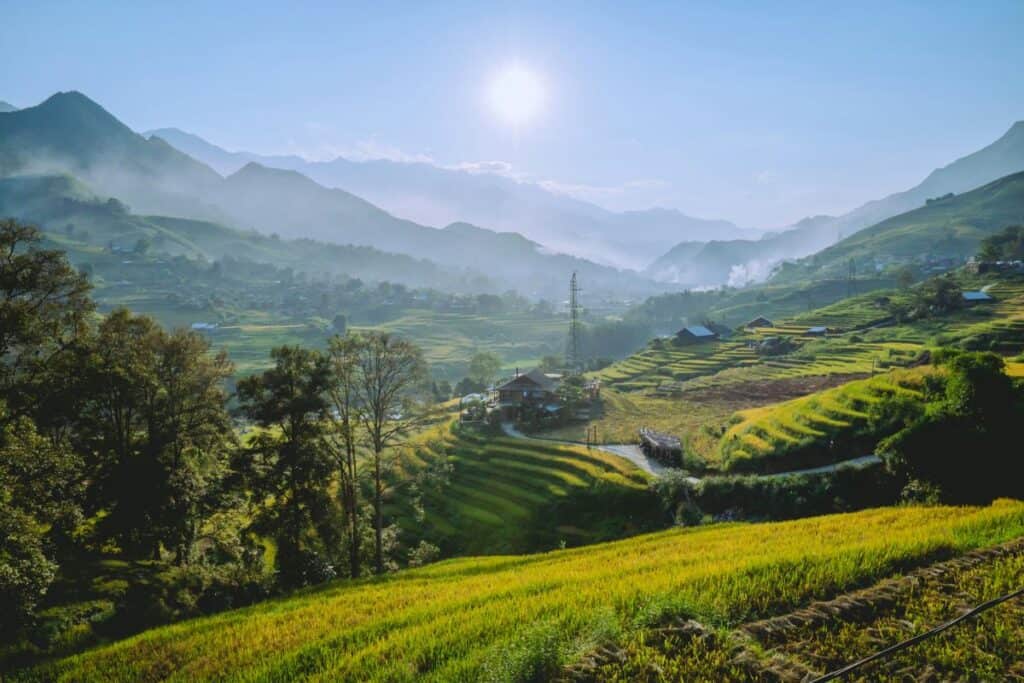green rice fields of Sapa