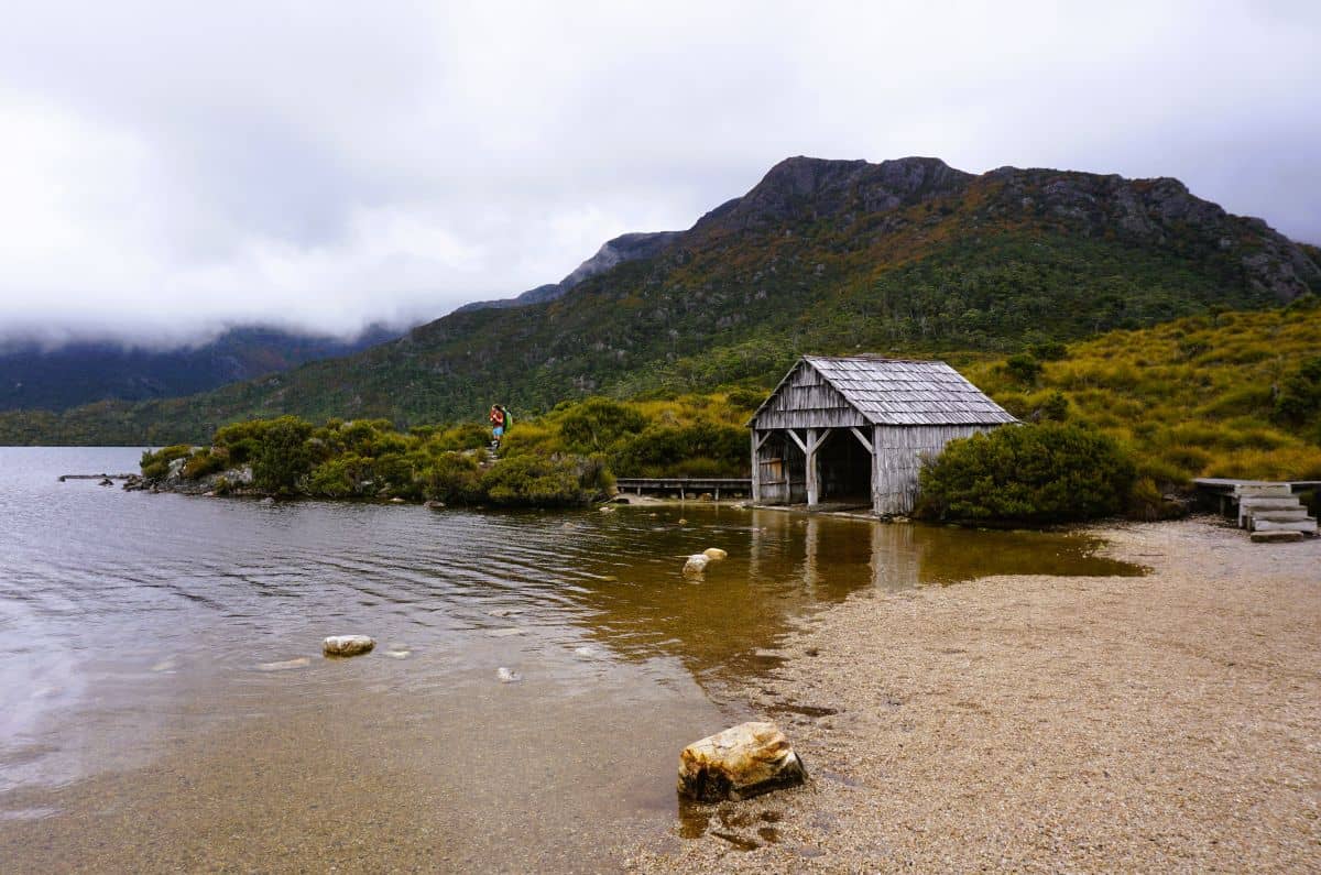 Lake beach and mountain on an overcast day on Cradle mountain