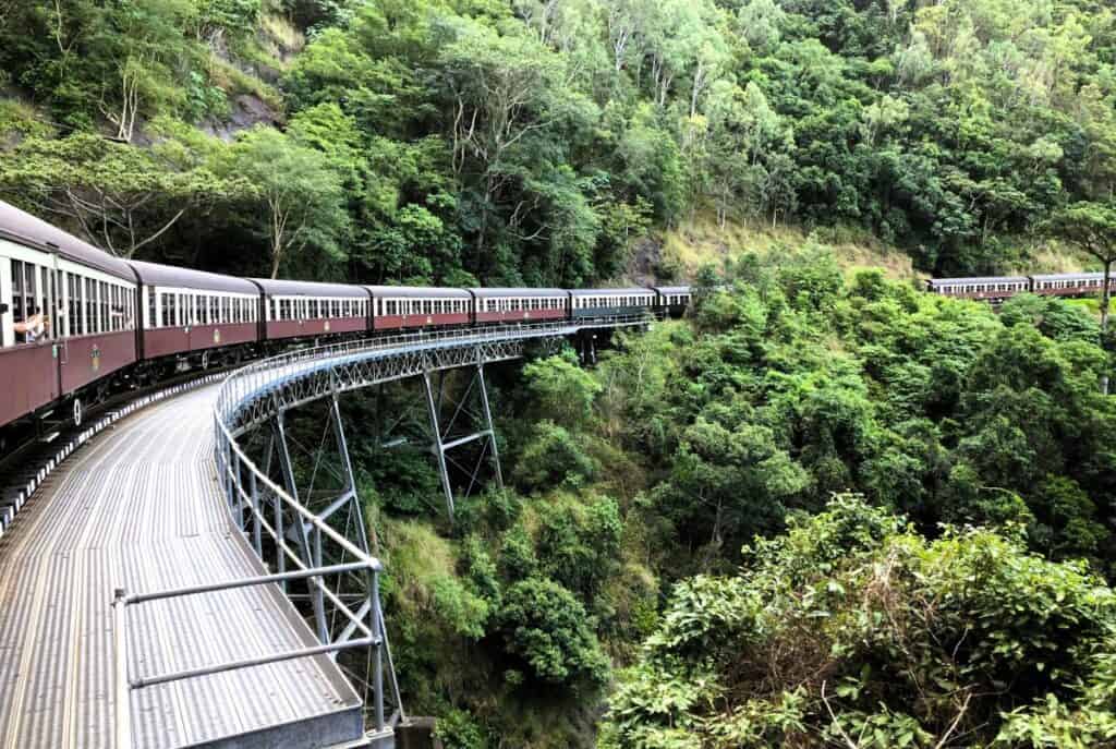 historic train crossing a bridge surrounded by lushh green trees in the rainforest
