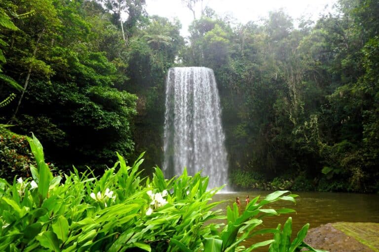 Millaa Millaa Falls, the most famous of the Atherton Tablelands waterfalls