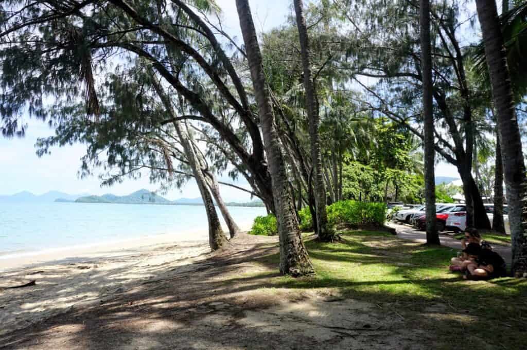 People sitting on the grass under palm trees besde the beach